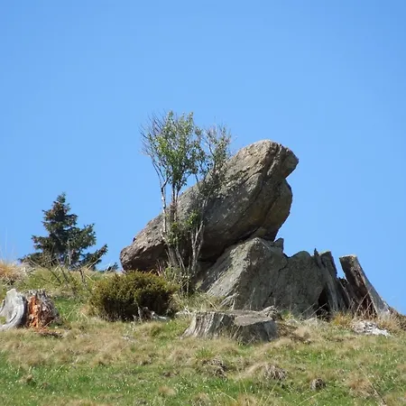 In Near Koralpe Area, Cleaning Included