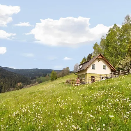In Near Koralpe Area, Cleaning Included